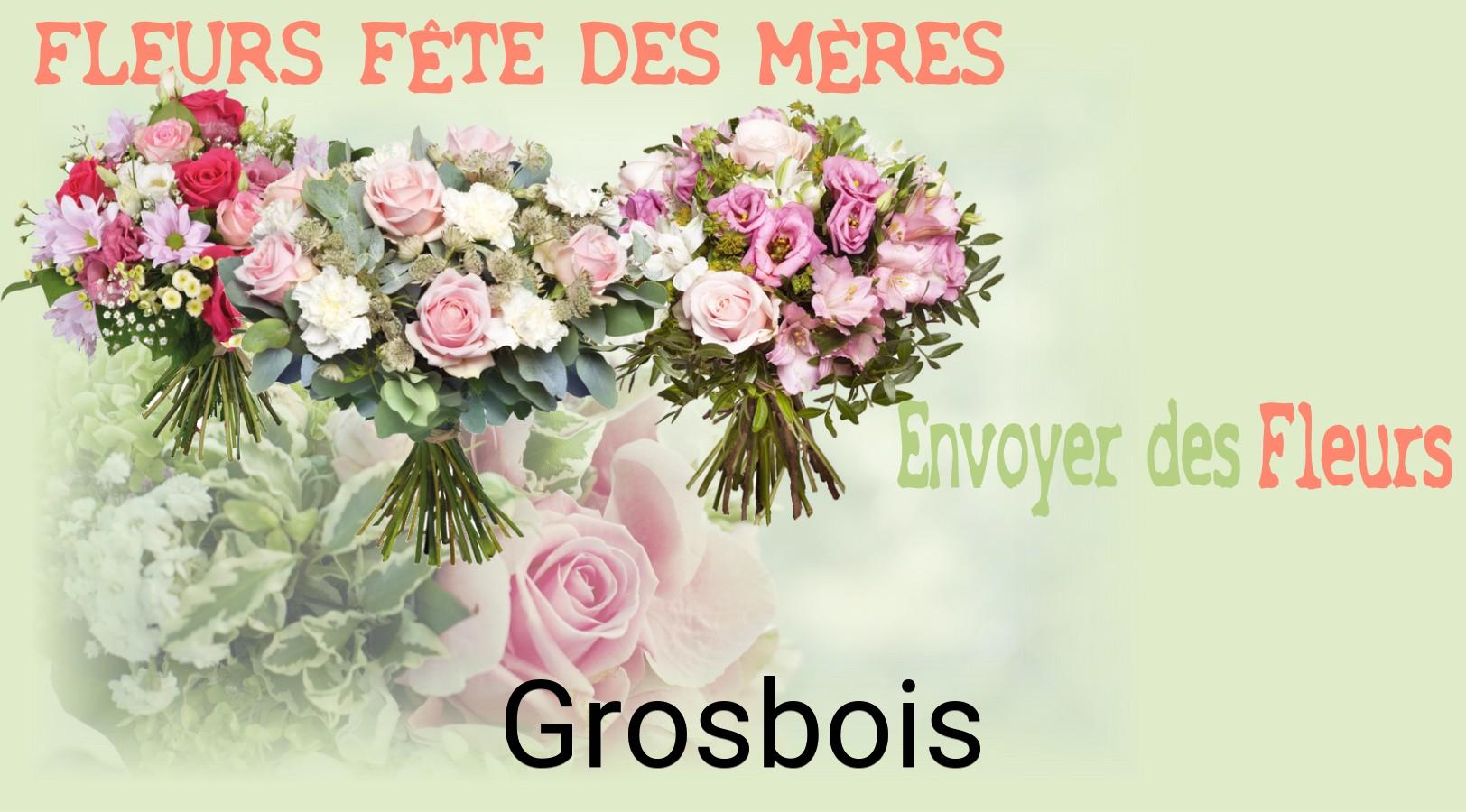 Bouquet de Fête des Mères livré à Grosbois